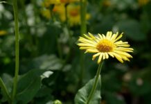 udala-se-starleta-tijana-ajfon:-navodni-muz-je-obasipa-brandiranim-stvarima,-a-ona-se-topi…