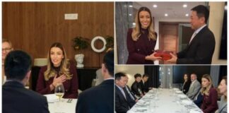 zajednicka-buducnost-dve-zemlje-mesarovic-o-novim-kineskim-investicijama-u-srbiji:-gradimo-konkretne-projekte-i-otvaramo-nova-radna-mesta
