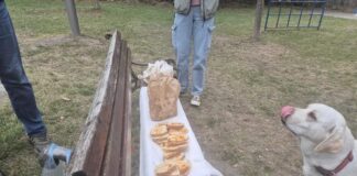novosadjani-izvizdali-micina-na-„salajackom-dorucku“