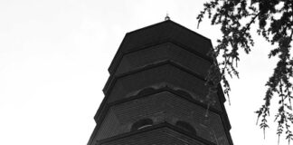 „znali-smo-da-je-samo-pitanje-dana“:-poslovodja-besliceve-pumpe-otkrio-detalje-halidove-borbe