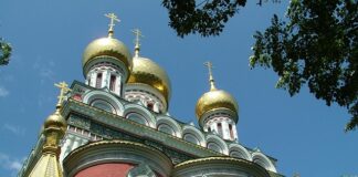 jani-todorovic-se-sve-skupilo:-muz-joj-je-tesko-bolestan,-skandal-s-cerkom-je-dotukao