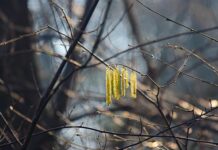 ovo-se-desilo-posle-24-godine:-vasero-uradio-nesto-neverovatno-u-sangaju