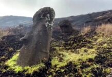 antropolozi-otkrili:-gigantske-statue-na-uskrsnjem-ostrvu-su-njime-„setale“