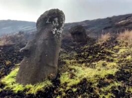 antropolozi-otkrili:-gigantske-statue-na-uskrsnjem-ostrvu-su-njime-„setale“