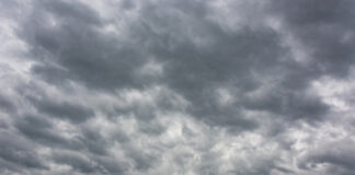 vreme-danas:-oblacno,-temperatura-do-20-stepeni-–-nedeljnik