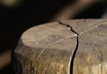 puklo-je-u-svlacionici-orlova!-otkrivena-surova-istina-o-reprezentaciji-srbije
