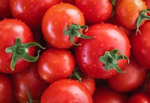 sin-im-je-bio-u-komi,-borili-su-mu-se-za-zivot:-rajkovici-danas-imaju-razlog-za-slavlje