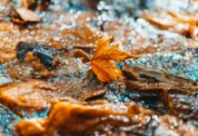 vreme-danas:-ujutru-mraz,-tokom-dana-suncano-i-toplije-–-nedeljnik