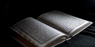 bijesna-aneli-ahmic-ipak-u-eliti-9:-ulazi-se-razracunati-s-bivsim-momcima,-ali-i-zarucniku-luki-se-ne-pise-dobro!