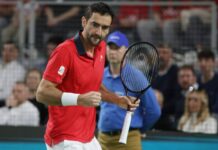 dajte-mu-gofana-i-nema-problema:-marin-cilic-pobedio-belgijanca-dva-puta-na-istom-turniru