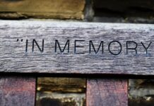 in-memoriam-–-dragan-savic-savo:-preminuo-legendarni-kosarkas-sloge-iz-kraljeva