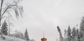 viktor-zivojinovic-krenuo-bratovim-stopama:-bacio-oko-na-poznatu-pjevacicu…
