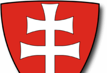 crveno-bela-sila:-zvezda-nanela-prvi-poraz-emlaku