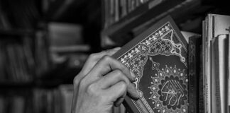 pao-dogovor-aneli-i-asmina-–-ahmiceva-pristala-na-dnk-test,-evo-sta-je-trazila-za-uzvrat