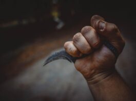 karambol-u-eliti-–-obezbedjenje-jedva-razdvojilo-asmina-durdzica-i-luku-vujovica-(video)