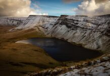 fanovi-srusili-sajtove-ticketing-platformi-u-iscekivanju-koncerata-jale-i-bube